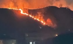 Trabzon'da korkutan yangın! 10 dönümlük ormanlık alan tutuştu