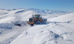 Van'da yoğun kar yağışı etkili oldu: 156 yerleşim yeri ulaşıma kapandı!
