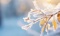 İzmir’de soğuk hava ve zirai don uyarısı yapıldı!