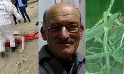 Bandırma sahiline vuran cesedin kimliği belli oldu: Batan geminin kaptanına ait çıktı