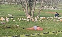 Çoban köpeklerinin saldırısına uğradı! Mezarlık ziyaretine giden yaşlı kadın hayatını kaybetti