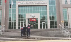 Terör örgütü PKK’nın sözde komutanı yakalandı