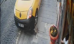 Taksici kaldırımdaki köpeği görmeyip ezdi, köpekseverin saldırısına uğradı!