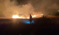 Şanlıurfa’da ormanlık alandaki yangın söndürüldü