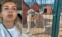 Kuduz hastalığı olan köpekleri Ankara'ya taşıdığı iddiasıyla tutukluydu: Tahliye edildi