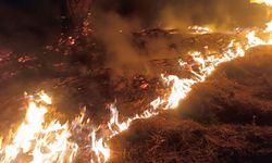 Denizli'de yangınla mücadele 22 saattir sürüyor