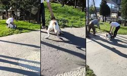 Çocuk parkında ağızlıksız gezdirilen pitbull kediyi böyle parçaladı