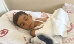 Isparta'da sokak köpeklerinin saldırdığı çocuk yaralandı