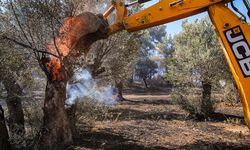 İzmir’de orman yangını sebebiyle mahalle tahliye edildi