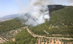 Antalya ve Muğla’da da orman yangınları başladı