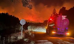 Uşak'taki orman yangınına müdahale sürüyor