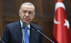 Cumhurbaşkanı Erdoğan: Başıboş köpek yasası meclis tatile girmeden çıkacak