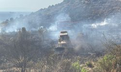 Foça'da orman yangınının sebebi belli oldu