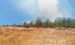 Balıkesir'de minibüste çıkan yangın ormana sıçradı! Yangın yoldan geçenler tarafından da görüntülendi