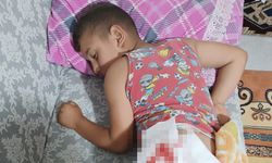 8 yaşındaki Miraç, başıboş köpeğin saldırısında yaralandı