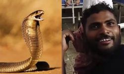 Hindistanlı adam, kendisini sokan yılanı ısırıp öldürdü