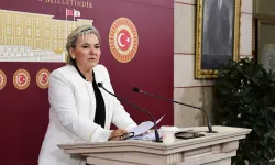 İYİ Parti İstanbul Milletvekili Nimet Özdemir, istifa etti