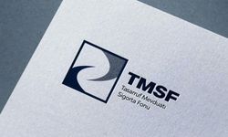 FETÖ soruşturmalarında TMSF'ye devredilen 643 şirket eski sahiplerine iade edildi