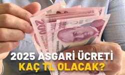 Asgari ücret zammı ne kadar yüzde kaç olur? 2025 asgari ücreti kaç TL olacak?