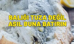 Meğer en etkilisi buymuş. Balığı tuza değil asıl buna batırın