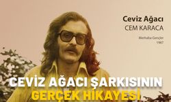 Cem Karaca Ceviz Ağacı şarkısı gerçek hikayesi nedir? Ceviz Ağacı şiiri kime ait? Ceviz Ağacı şarkı sözleri ve hikayesi