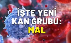 Duyanlar şaşırıp kalıyor. Bilim adamları keşfetti. İşte yeni kan grubu: MAL