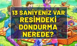 Resimdeki dondurmayı bulabilmeniz için 13 saniyeniz var. 100 kişiden 96'sı yanıldı