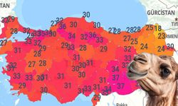 31, 29, 33, 37. Vizeyi aldı. Geri geliyor