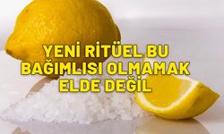 Bağımlısı olmamak elde değil. Stresi de odak sorununu da ortadan kaldırıyor