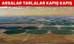 Burada arsalar tarlalar kapış kapış satılıyor. Yakında boş yer kalmayacak