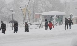 Meteoroloji uyardı! Hava sıcaklıkları hızlı şekilde düşecek: Kar geliyor