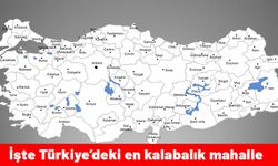 İstanbul'daki mahallelerinin nufüsunu bile katladı. İşte Türkiye'deki en kalabalık mahalle...