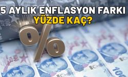 5 AYLIK ENFLASYON FARKI 2024: Temmuz, ağustos, eylül, ekim, kasım enflasyonuna göre memur ve emekli zammı yüzde kaç?