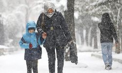 Artvin’de eğitime ara: Okullar tatil edildi