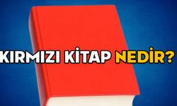 KIRMIZI KİTAP NEDİR? Milli Güvenlik Siyaseti Belgesi’nin içeriği nedir? Neden önemli?