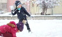 Yoğun kar yağışı nedeniyle iki ilimizde okullar tatil edildi