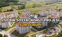 TOKİ 250 BİN SOSYAL KONUT PROJESİ SON DURUM! İhale tarihleri belli oldu: TOKİ 250 bin sosyal konut başvuruları ne zaman?