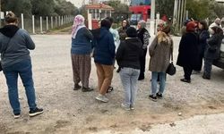 Ürünleri Avrupa'dan dönen işletme iflas etti: Alacaklılar kapıya dayandı!