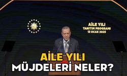 AİLE YILI MÜJDELERİ NELER? Cumhurbaşkanı Erdoğan açıkladı! Evleneceklere, çocuk sahibi olacaklara destek geliyor