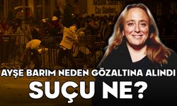 AYŞE BARIM NEDEN GÖZALTINA ALINDI, SUÇU NE? Ayşe Barım Gezi Parkı olayı nedir?