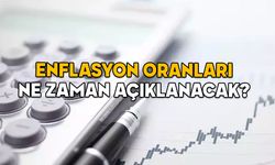 ENFLASYON ORANLARI NE ZAMAN AÇIKLANACAK? 2025 Ocak TEFE-TÜFE enflasyon beklentisi açıklandı