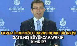 Satılmış Büyükcanayakın kimdir? Ekrem İmamoğlu davasındaki Bilirkişi Satılmış Büyükcanayakın hakkında açıklama