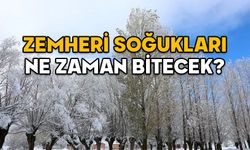 ZEMHERİ SOĞUKLARI NE ZAMAN BİTECEK 2025? Zemheri kışı ne zaman bitiyor?