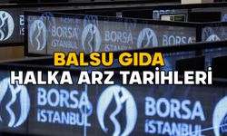 BALSU GIDA HALKA ARZ TARİHLERİ: Balsu Gıda kaç lot verir, katılım endeksine uygun mu?