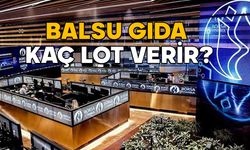 BALSU GIDA HALKA ARZI 2025: BALSU hisse fiyatı ne kadar? Balsu Gıda kaç lot verir?