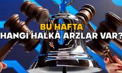 HALKA ARZ TAKVİMİ 10-14 ŞUBAT 2025 | Bu hafta hangi halka arzlar var?