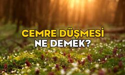 CEMRE DÜŞMESİ NE DEMEK? Cemre nereye ne zaman düşer? 2025 Cemre takvimi