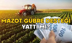 MAZOT GÜBRE DESTEĞİ YATTI MI? e devlet Çiftçi destek ödemesi sorgulama sayfası