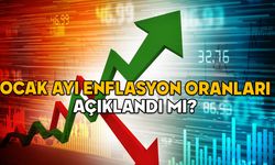 ENFLASYON AÇIKLANDI MI? TÜİK Ocak 2025 TEFE-TÜFE oranları ne kadar?