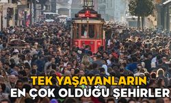 Şehirler kalabalık ama insanlar yalnız! Tek yaşayanların en çok olduğu şehirler belli oldu!